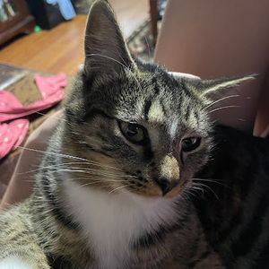 Meet your Posher, Abbey